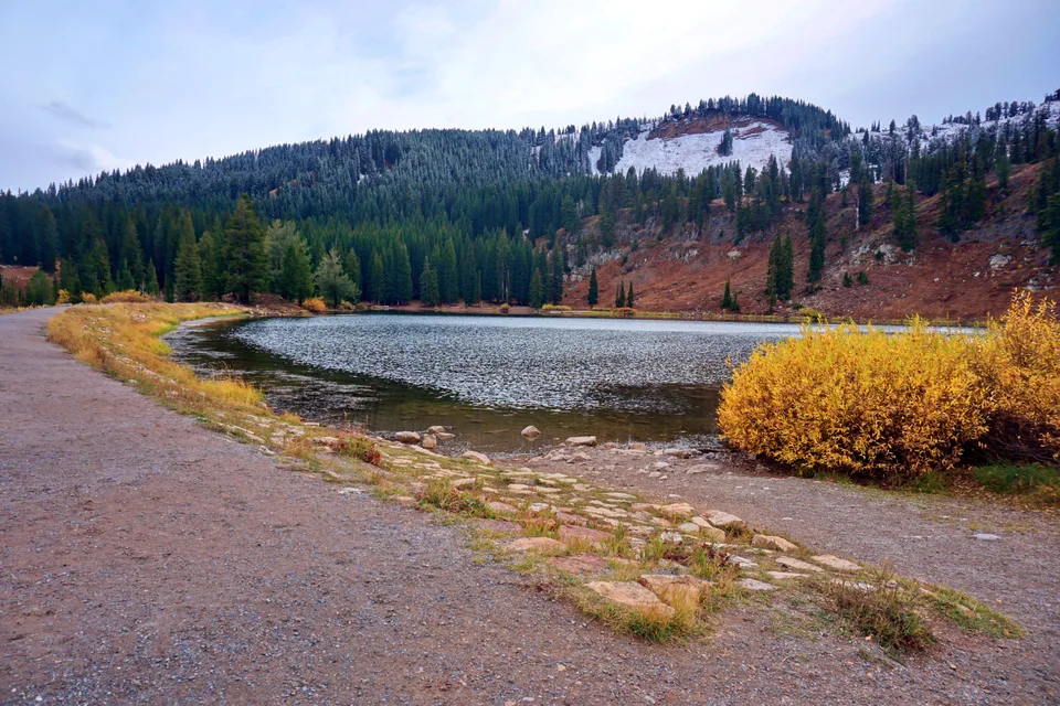 Lake edged by autumn shrubs and a wooded hillside